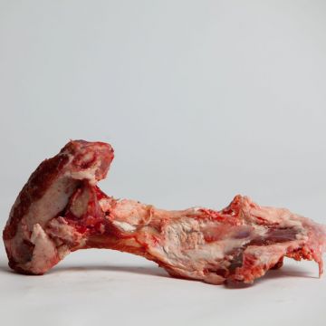 Raw Meaty Lamb Pelvis (15 bones)