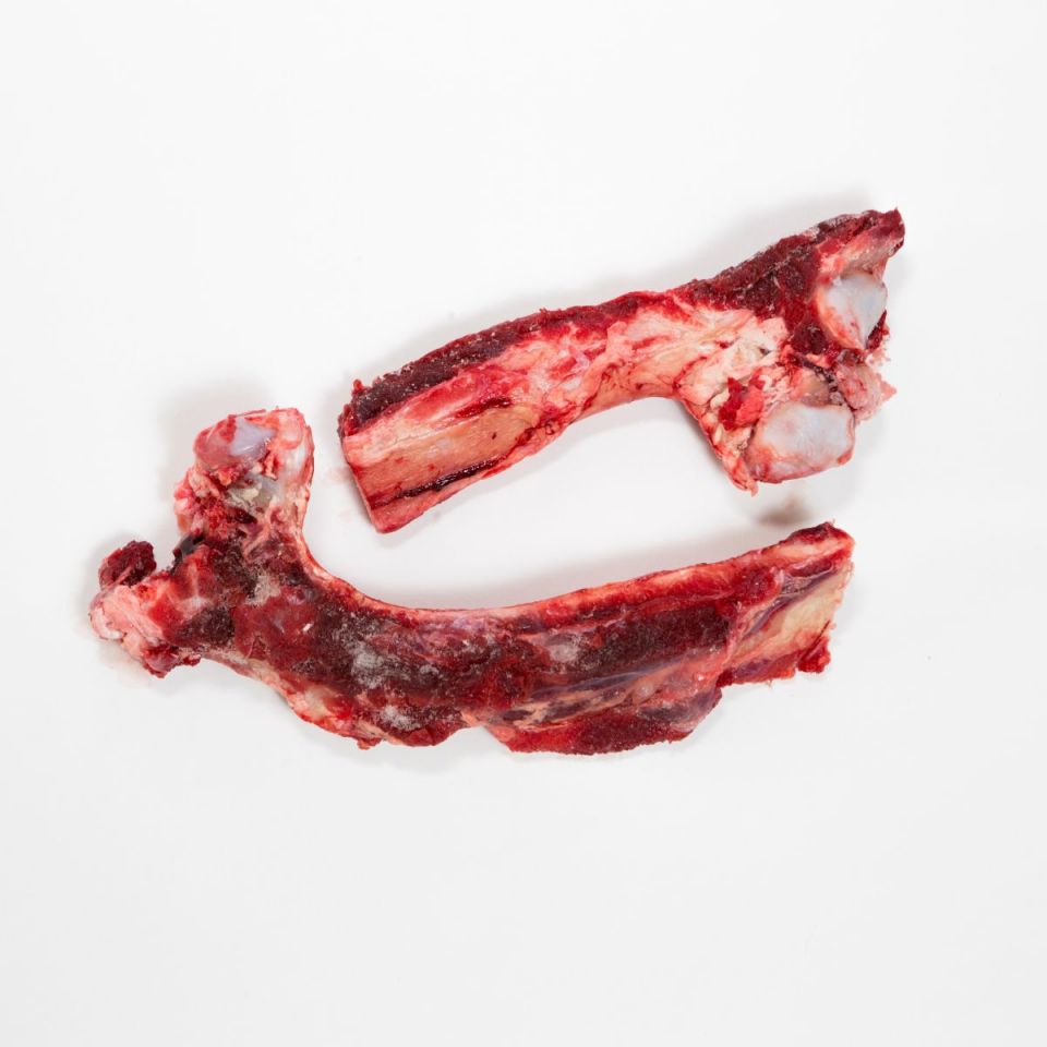 are raw beef rib bones safe for dogs