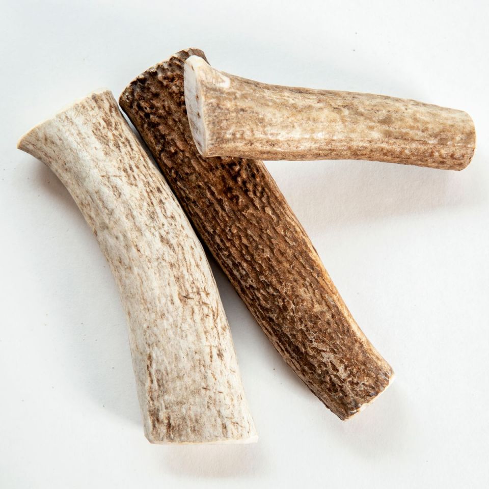 Whole Elk Antler Dog Chew (3 pieces)