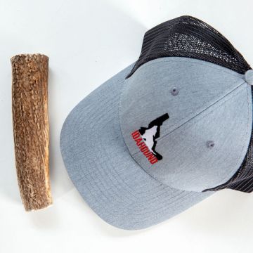 Whole Elk Antler (1 piece)
