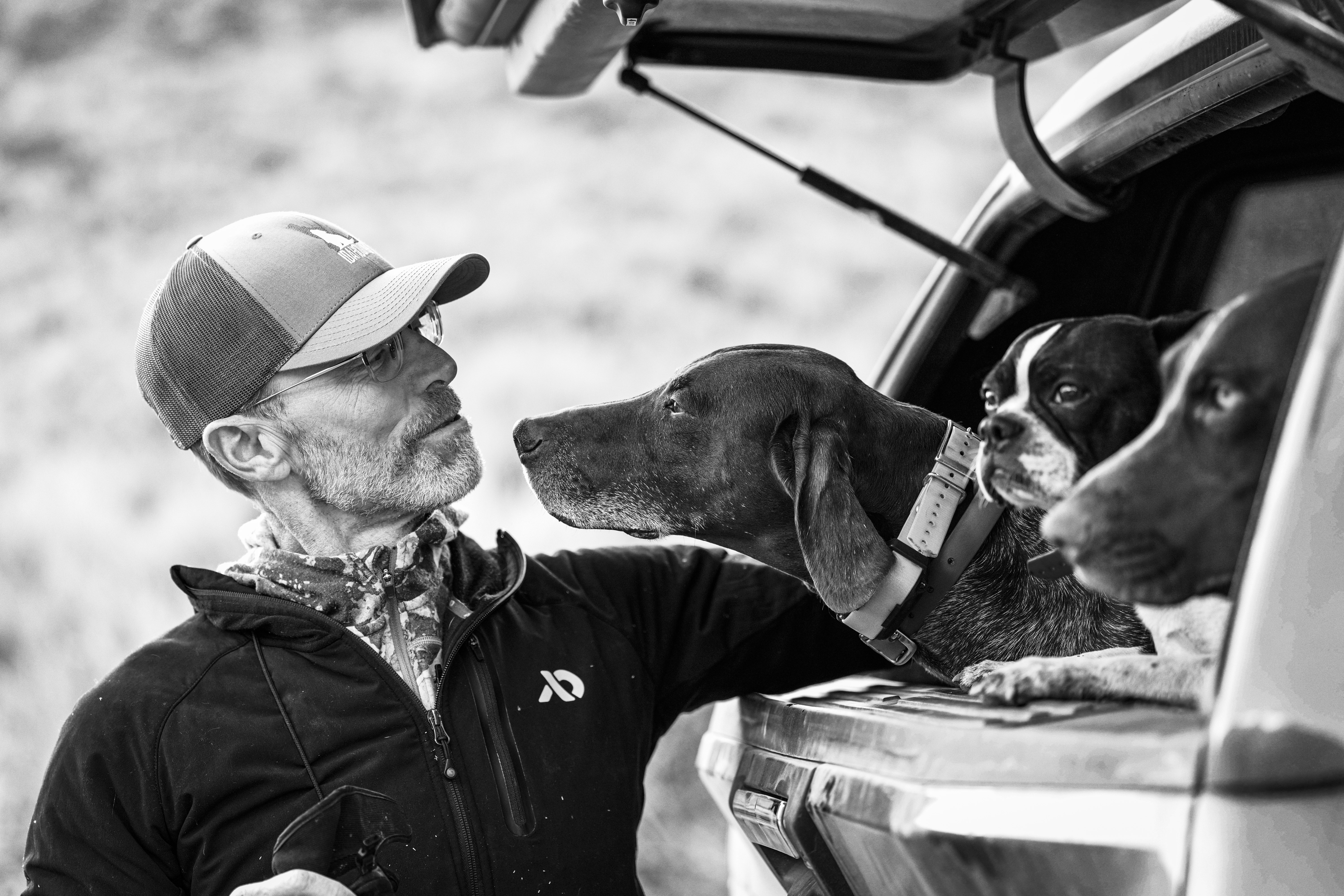 Over the last decade turned a wild dream in a small batch, farm-to-bowl dog food company. Read more about Idahound's story!