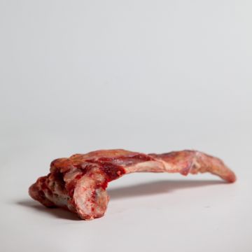 Raw Meaty Lamb Tailbone