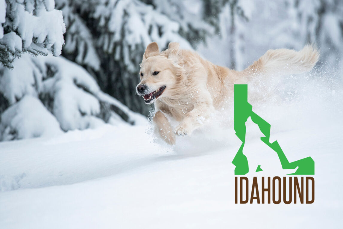 Using grass-fed animals from small Idaho ranches, we custom butcher all of our products in-house. We also customize pricing based on your location. Check it out by creating an account!