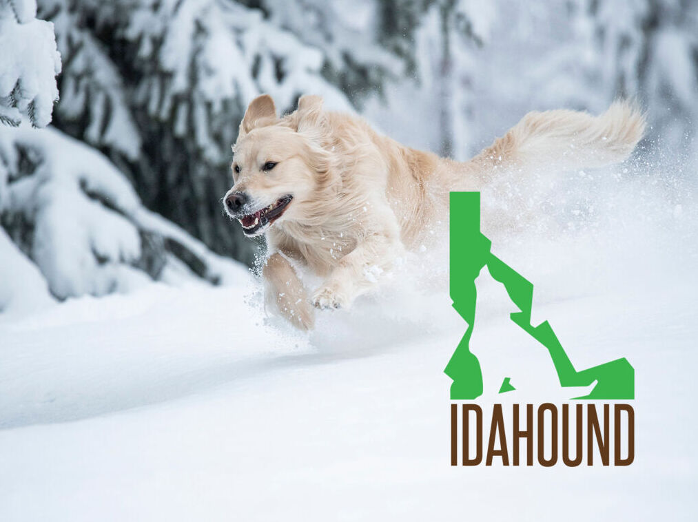 Using grass-fed proteins from local ranches, Idahound® custom butchers, processes and packages all of our products in-house. Create an Account to see location-specific pricing.