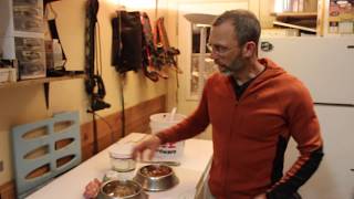 Raw Green Tripe Video
